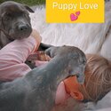 **LOVING HOMES NEEDED**-1