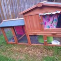 Rehoming 2x cute female guinea pigs with a hutch and some food. Due to our daughter being allergic-3